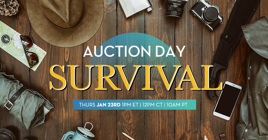 Auction Event Survival