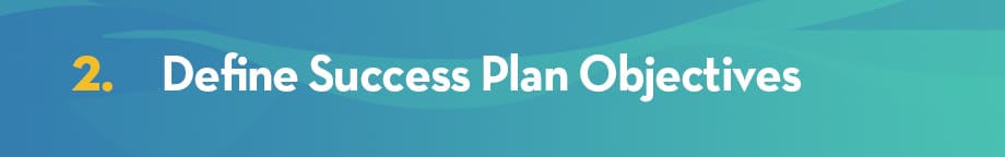 Define Success Plan Objectives
