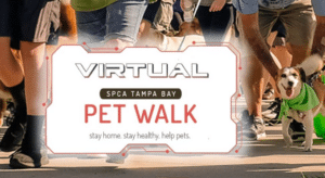 SPCA Pet Walk