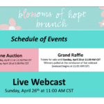 Blossoms of Hope Brunch invitation in teal and pink color blocks with floral accents, with schedule of events.