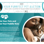 Pet owners cuddling with their cats and dogs in circular frames in a white and teal background. 