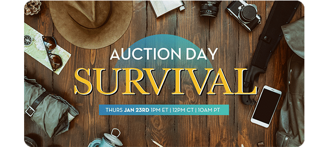 Auction Day survival
