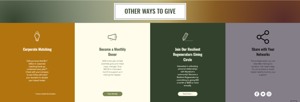 This image shows the various giving opportunities listed on Mycelium Youth Network’s donation page.