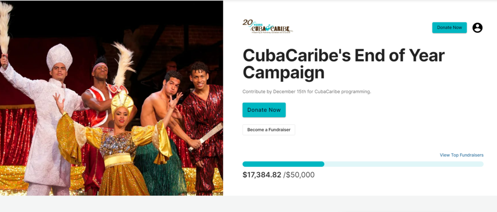 This image shows the high color contrast used on CubaCaribe’s donation page.