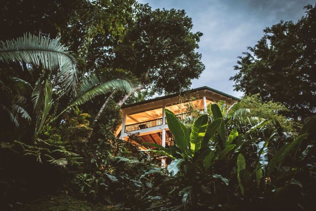 Jungle Retreat Copal Tree Lodge