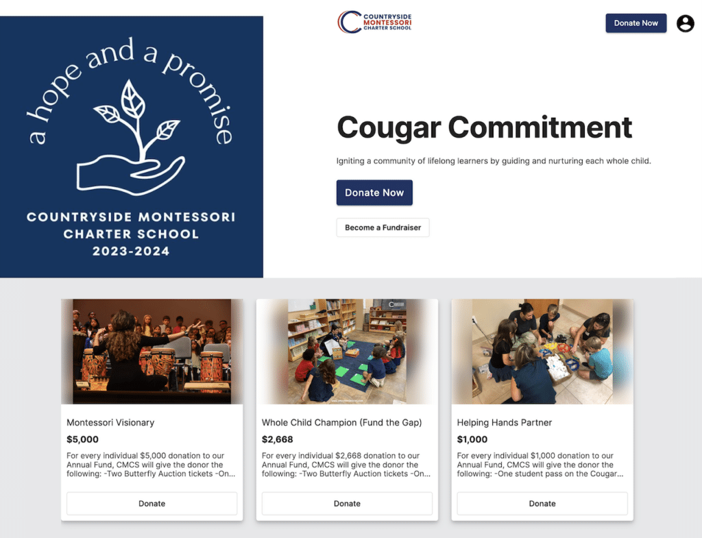 Countryside Montessori Charter School is an inspiring donation page example because it makes giving a simple process with suggested gift amounts. 