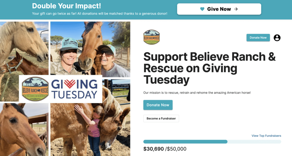Believe Ranch & Rescue is a great donation page example because of its minimalistic design and use of a fundraising thermometer. 