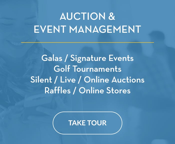 Auction-Event-Fundraising-Test-Drive